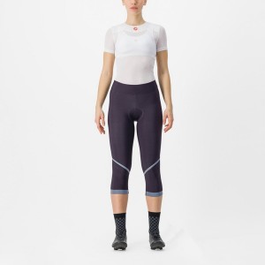 Dámské Legíny Castelli VELOCISSIMA THERMAL KNICKER Stříbrné | AZL293705